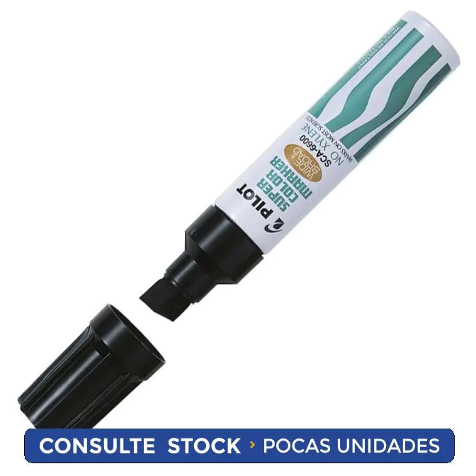 Marcador Permanente Surtido Grueso