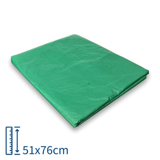 BOLSA MEDIANA VERDE CAL0.9 22X31 PX10