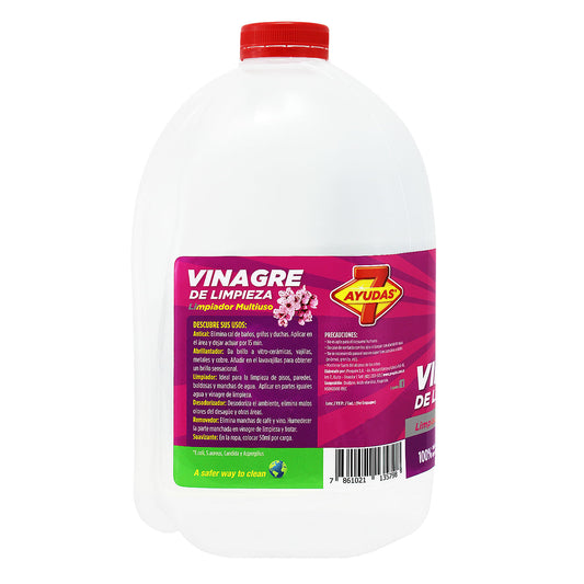 Vinagre de Limpieza 3850 ml
