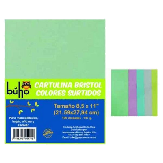 Cartulina Bristol 1/8x7 Surtida Art-expr