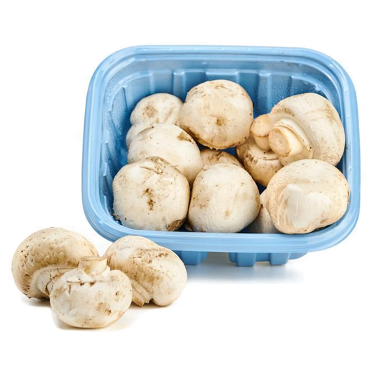 Champi¥on Entero 12x280 gr