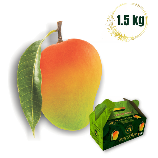 Mango Met 1-a 1.40 mt Verde