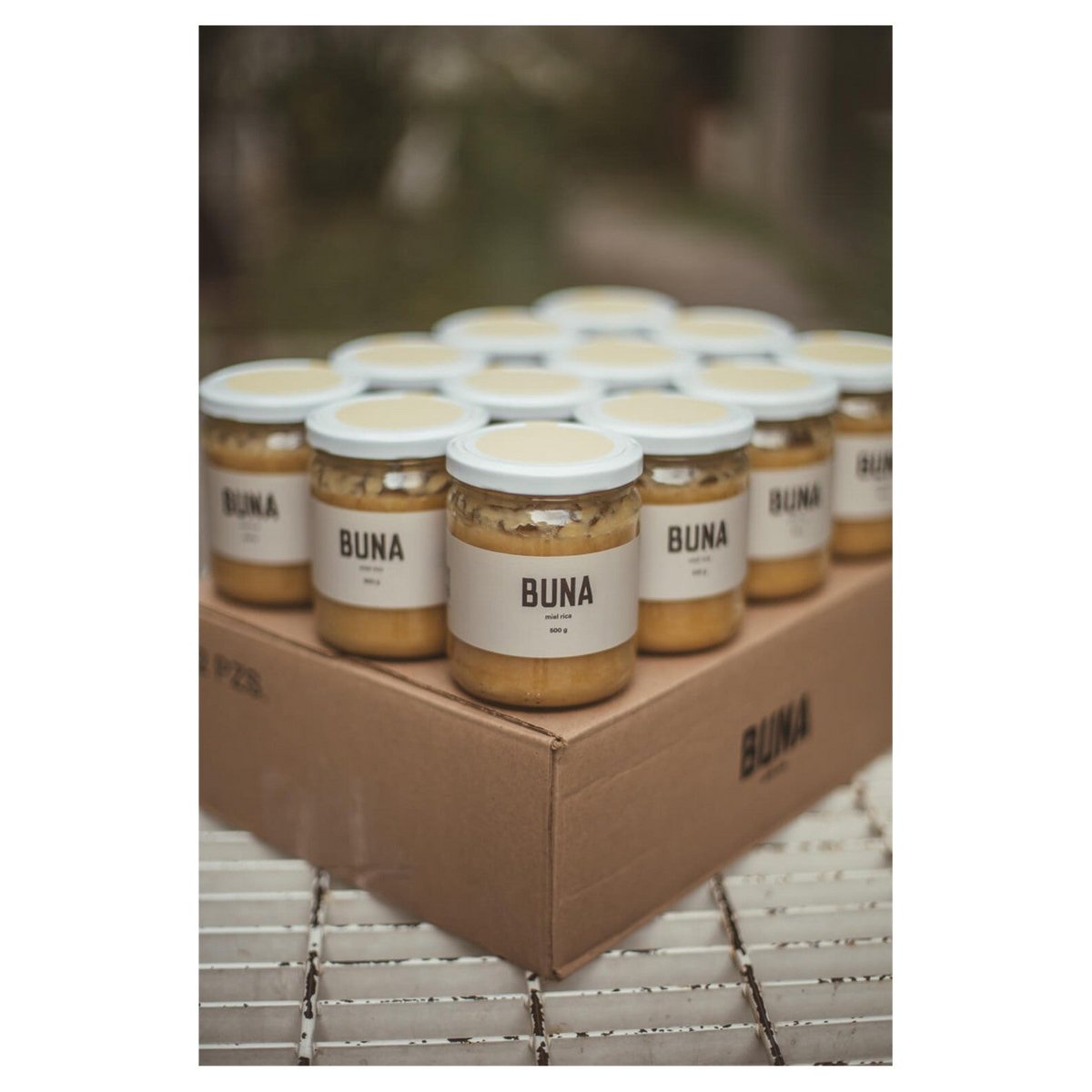 Miel de Abeja Panchita Bonmielx 500 grs
